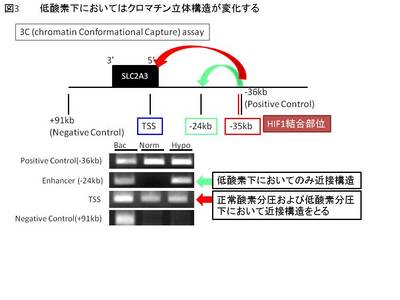 mimura3.JPG