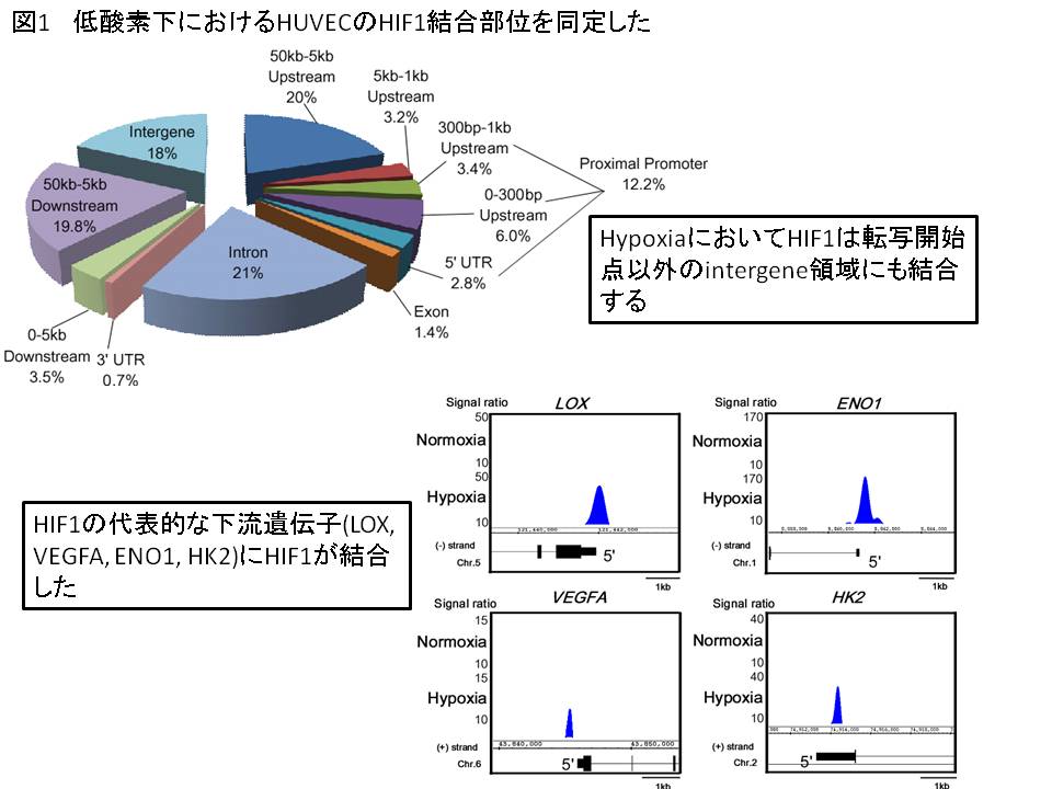 http://www.escut.org/images/mimura1.JPG